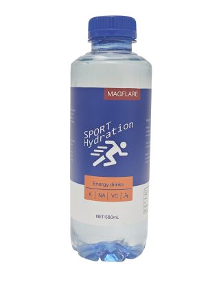 MAGFLARE Sport Hydration Energy Drink, 580ml Portable Bottle