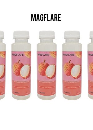 MAGFLARE Lychee Fruit juice 280ml, Ready to Drink Bottled Fruit Drink, 5 Bottle